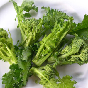 Broccoletto Quarantino Riccio