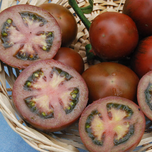Vegetable Black Russian Tomato
