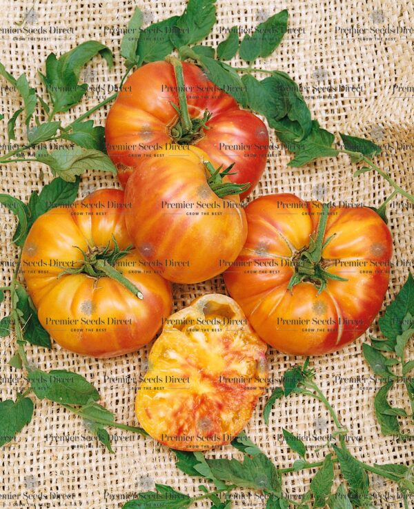 Granny Cantarell German Beefsteak Tomato-Meraki Seeds